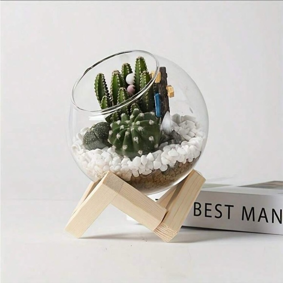 🌵 Cactus/ Succulent/Air Plants Glass Planter with Wooden Stand - Picture 8 of 9